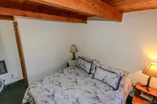 1500 Wolf Rd, Big Bear Lake, CA 92315 - Photo 15