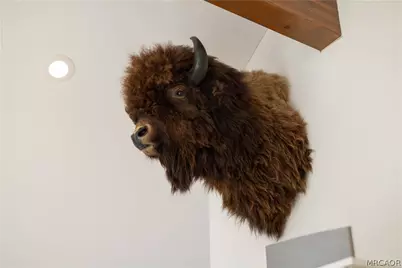 42803 Conifer Drive, Big Bear Lake, CA 92315 - Photo 9