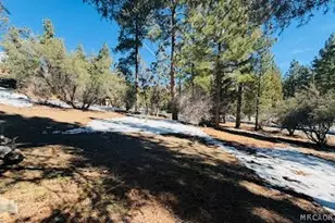 808 Antelope Mountain Dr, Big Bear City, CA 92314 - Photo 1
