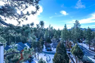 509 Wallace Ln, Big Bear City, CA 92314 - Photo 47