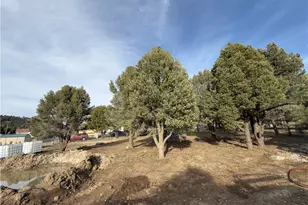 1820 Golden Rod Ave, Big Bear City, CA 92314 - Photo 1