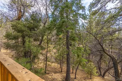 731 Butte Avenue, Big Bear Lake, CA 92315 - Photo 23