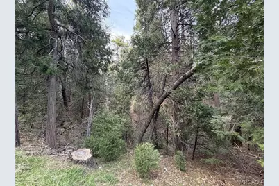 0 Hook Creek Rd Road, Cedar Glen, CA 92321 - Photo 5