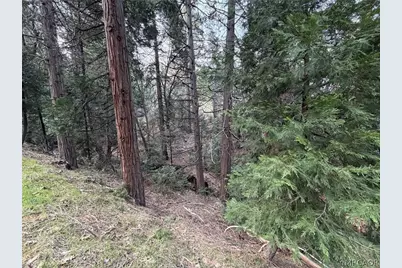 0 Hook Creek Rd Road, Cedar Glen, CA 92321 - Photo 7