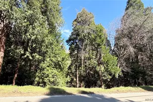 0 Hook Creek Rd Rd, Cedar Glen, CA 92321 - Photo 1