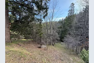 0 Hook Creek Rd Road, Cedar Glen, CA 92321 - Photo 9