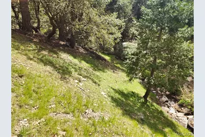 0 Running Springs Lane, Cedarpines Park, CA 92322 - Photo 9