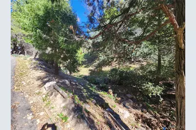 0 Running Springs Lane, Cedarpines Park, CA 92322 - Photo 5