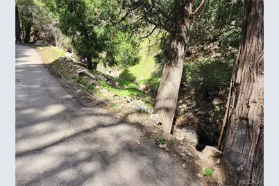 0 Running Springs Lane, Cedarpines Park, CA 92322 - Photo 11