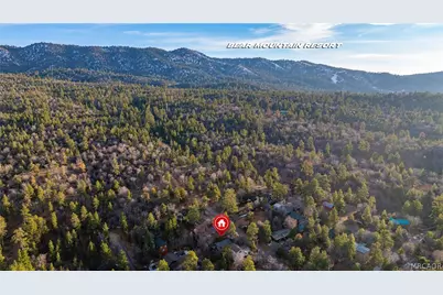 875 Santa Barbara Avenue, Sugarloaf, CA 92386 - Photo 15