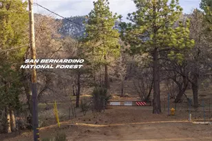 875 Santa Barbara Ave, Sugarloaf, CA 92386 - Photo 15