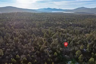 875 Santa Barbara Ave, Sugarloaf, CA 92386 - Photo 13