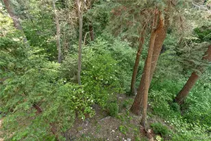 576 Kuffel Canyon Rd, Lake Arrowhead, CA 92352 - Photo 33
