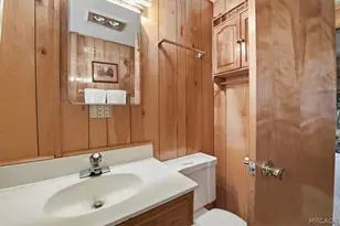 43113 Sheephorn Rd, Big Bear Lake, CA 92315 - Photo 23