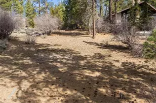 293 Catalina Rd, Big Bear Lake, CA 92315 - Photo 1
