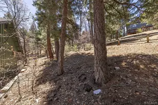 1639 Columbine Dr, Big Bear City, CA 92314 - Photo 45
