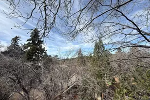 33466 Angeles Dr, Green Valley Lake, CA 92341 - Photo 17