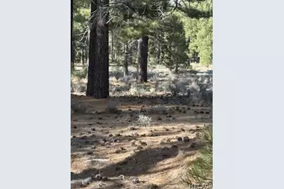 34557 Polique Canyon Trail, Fawnskin, CA 92333 - Photo 11