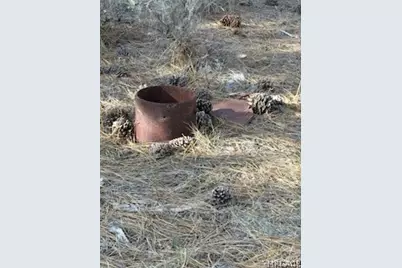 34557 Polique Canyon Trail, Fawnskin, CA 92333 - Photo 7