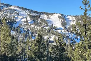 1536 Wolf Rd, Big Bear City, CA 92314 - Photo 15