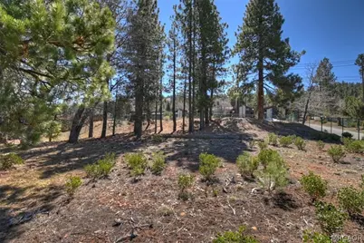 41711 Switzerland Drive, Big Bear Lake, CA 92315 - Photo 11