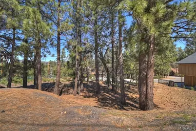 41711 Switzerland Drive, Big Bear Lake, CA 92315 - Photo 19