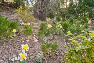 197 Massive Rd, Lake Arrowhead, CA 92352 - Photo 43