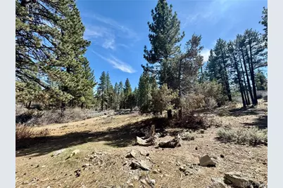 209 Dawn Drive, Big Bear City, CA 92314 - Photo 29