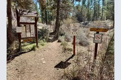 209 Dawn Drive, Big Bear City, CA 92314 - Photo 27