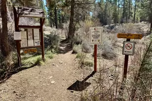 209 Dawn Dr, Big Bear City, CA 92314 - Photo 27