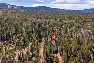 384 Saw Mill Canyon Dr, Big Bear City, CA 92314 - Photo 39