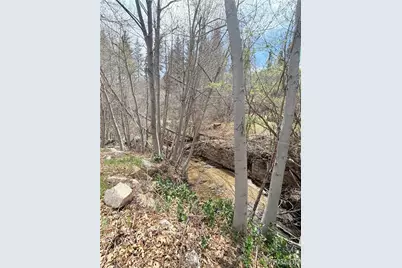 29949 Hook Creek Road, Cedar Glen, CA 92321 - Photo 5