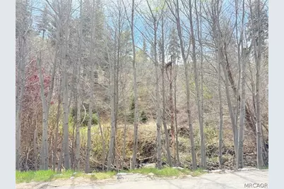 29949 Hook Creek Road, Cedar Glen, CA 92321 - Photo 3