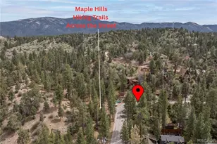 745 Barret Way, Big Bear City, CA 92314 - Photo 29