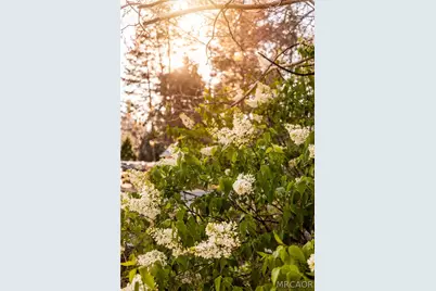 43300 Deer Canyon Road, Big Bear Lake, CA 92315 - Photo 15