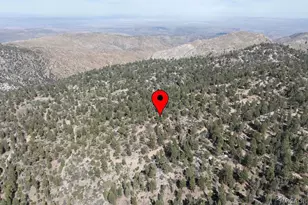 4535 Ironwood Ln, Big Bear City, CA 92305 - Photo 39