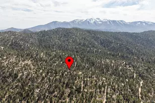 4535 Ironwood Ln, Big Bear City, CA 92305 - Photo 41