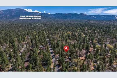 364 Leonard Lane, Sugarloaf, CA 92386 - Photo 41