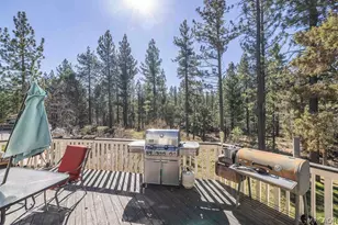 626 McAlister Rd, Big Bear City, CA 92314 - Photo 45