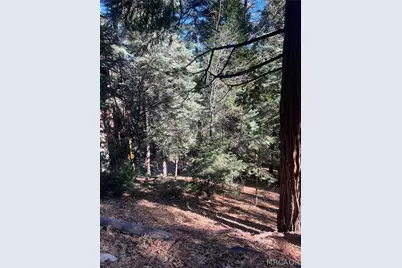 0 Forest, Twin Peaks, CA 02391 - Photo 1