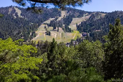 845 Menlo Drive, Big Bear Lake, CA 92315 - Photo 21
