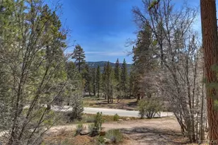 22 Polique Canyon Trail, Fawnskin, CA 92333 - Photo 39