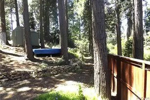 590 Lane's End Trail, Crestline, CA 92325 - Photo 13
