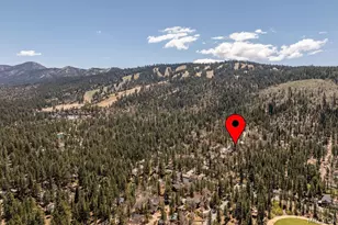 802 Conklin Rd, Big Bear Lake, CA 92315 - Photo 21