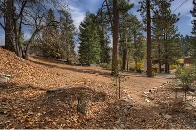 929 Andrew Lane, Big Bear Lake, CA 92315 - Photo 39