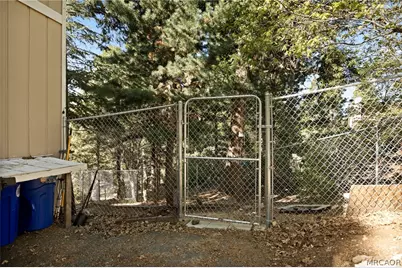 316 Pioneer Road, Lake Arrowhead, CA 92352 - Photo 33