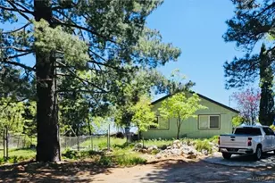 26465 Apache Trail, Cedar Glen, CA 92378 - Photo 3