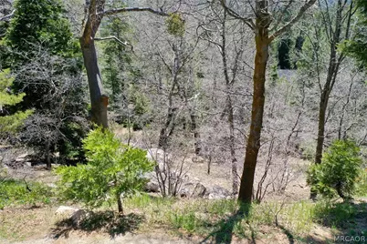 0 Old Toll Road, Lake Arrowhead, CA 92352 - Photo 7
