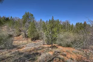 796 Orange Ave, Sugarloaf, CA 92386 - Photo 43