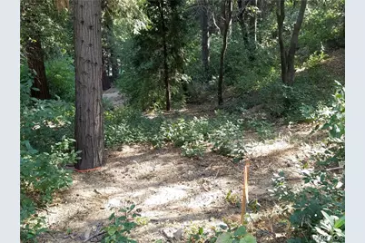 24093 Zurich Drive, Crestline, CA 92325 - Photo 3